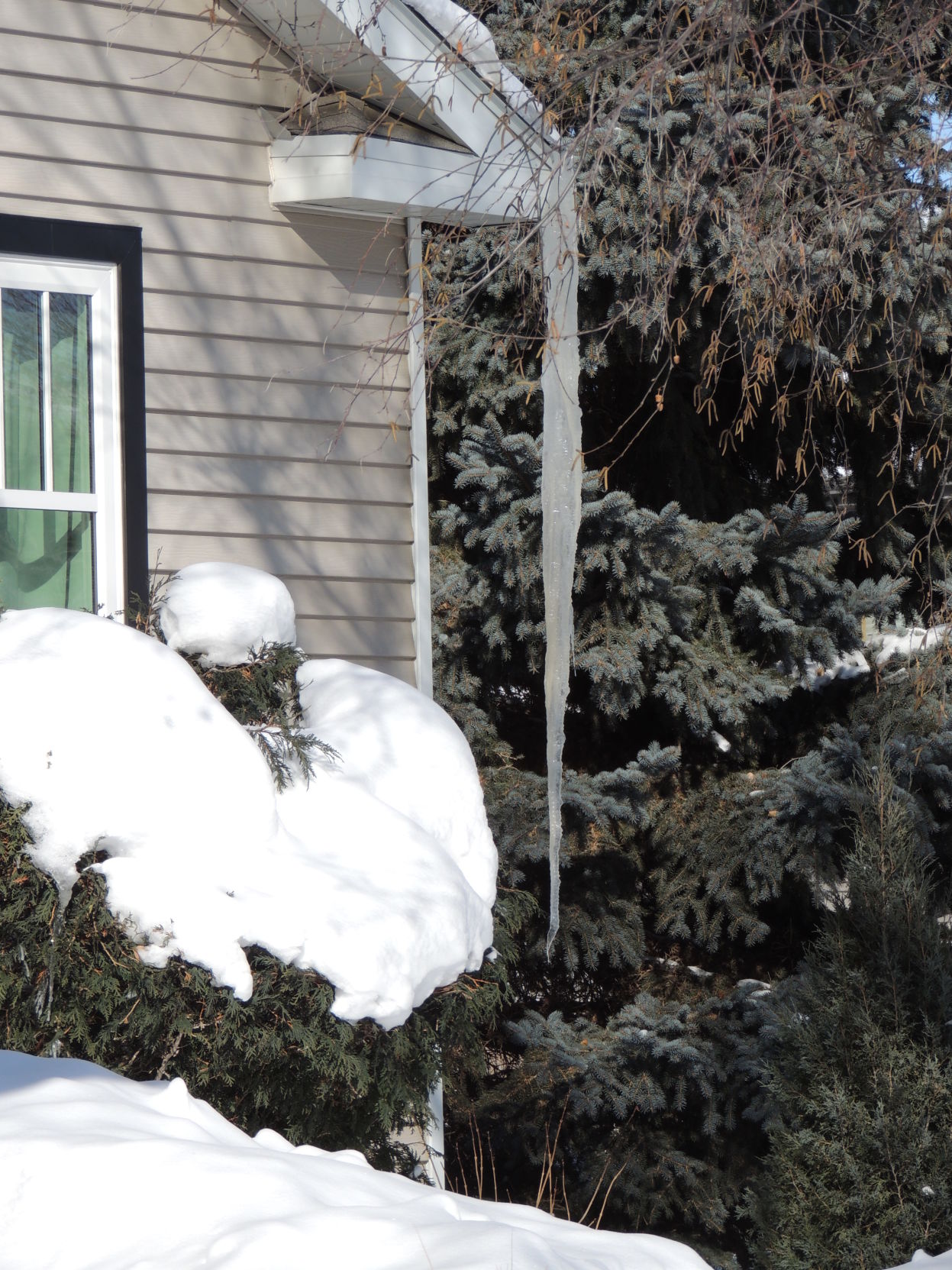 Large Icicle